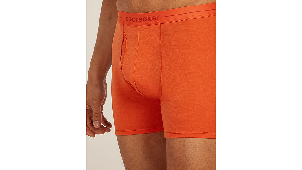 Icebreaker Merino 150 Anatomica Boxers wFly - Mens, Fervid, Large, IB1030300GTL
