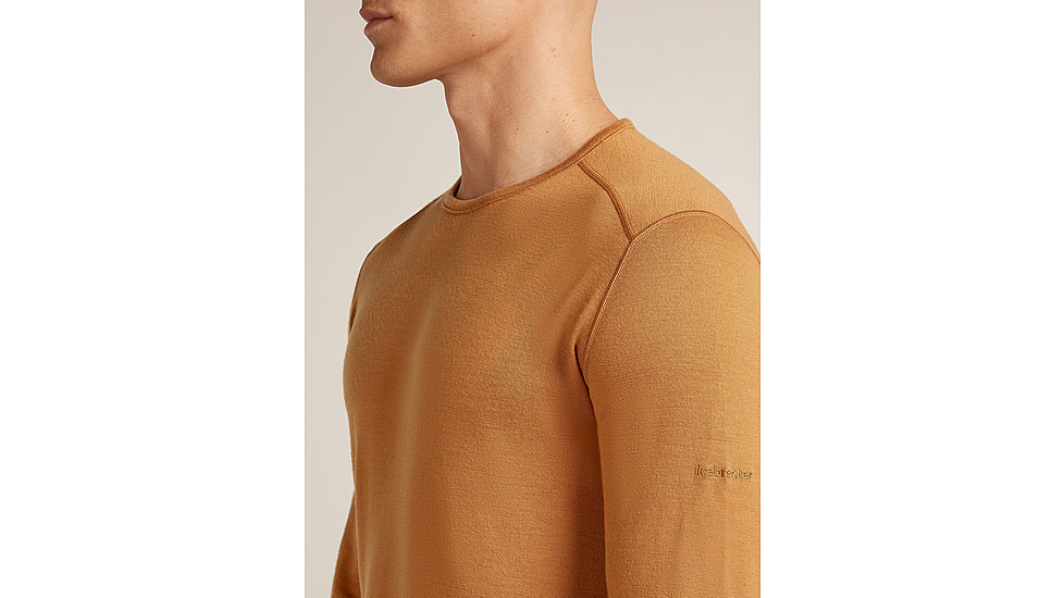 Icebreaker Merino 260 Tech Long Sleeve Crew Thermal Top - Mens, Trail, Large, IB1043710GRL