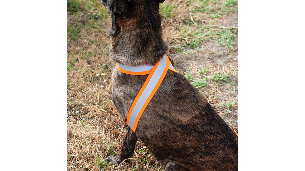 United States Tactical Reflective Elastic Belt, Orange, UST-BLT00906