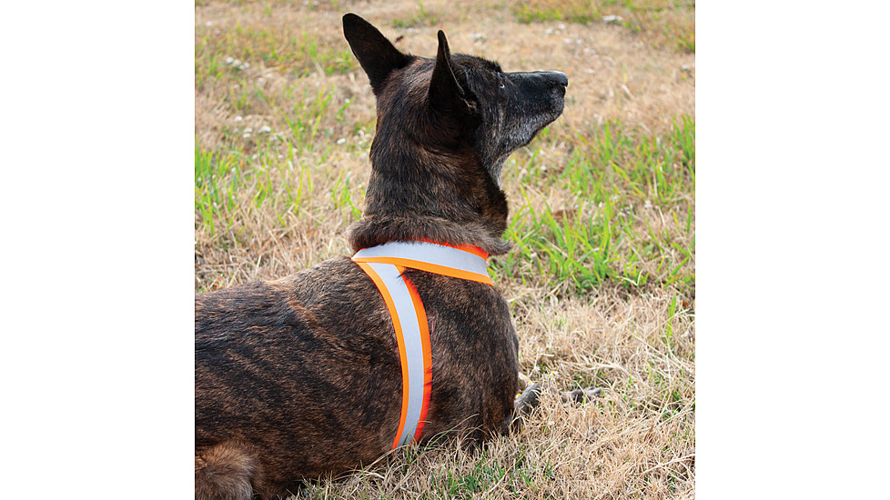 United States Tactical Reflective Elastic Belt, Orange, UST-BLT00906