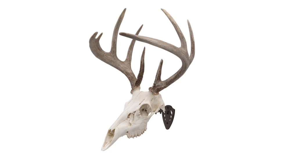 Allen EZ Mount Skull Hanger, Fixed, Brown, 7228
