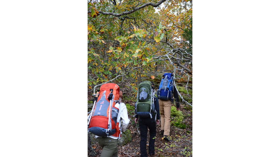 ALPS Mountaineering Red Tail 3900 Pack-Green