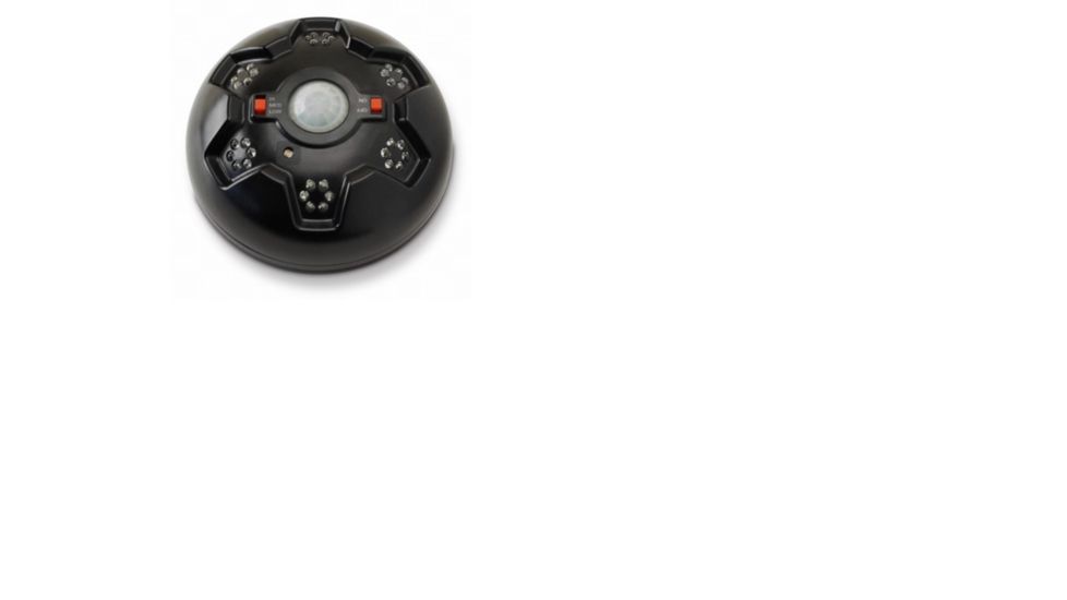 American Hunter Swine Shine Hog  Light, AH-HOGLITE