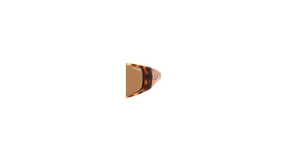 Arnette Vision 67/73 Dark Leopard Frame / Brown Lens 800-1180
