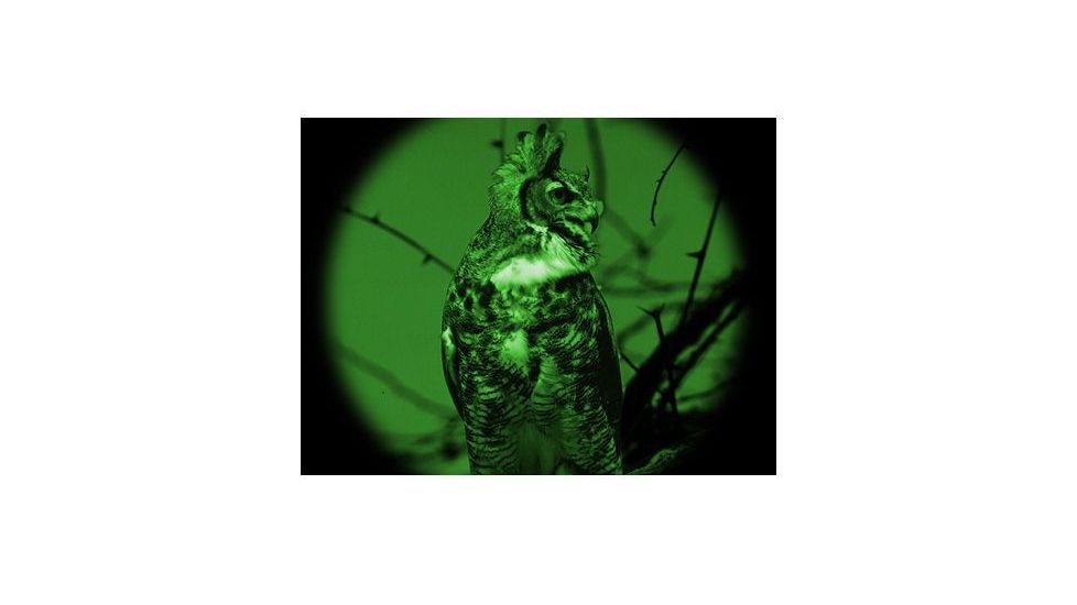 ATN Night Scout VX, Night Vision Binocular, 1+ Gen 40 lp/mm NVBNNSCV10