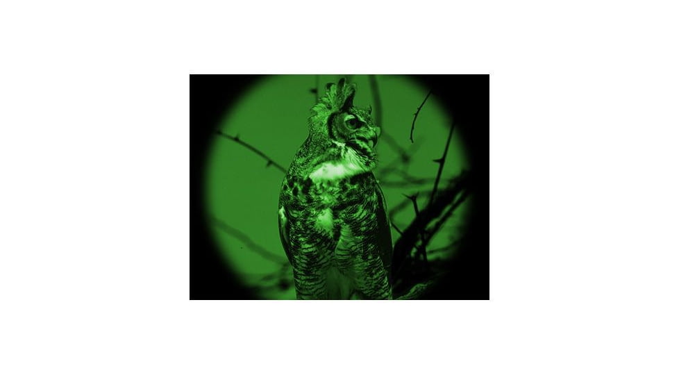 ATN Night Scout VX-WPT, Night Vision Binocular, 60-74 lp/mm NVBNNSCVW0