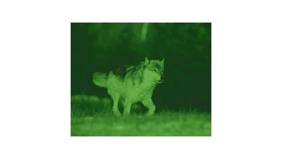 ATN NVB5X-CGTI Night Vision Bi-Ocular NVBNB05XCI