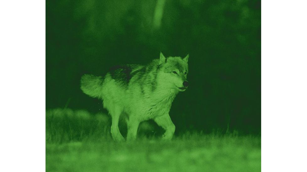 ATN NVB5X-2I Night Vision Bi-Ocular NVBNB05X2I