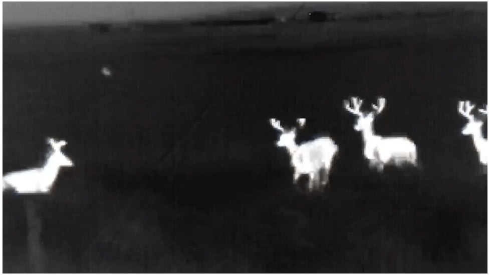 ATN OTS 4T, 1.5-15x, 640x480, Thermal Viewer w/ Full HD Video rec, WiFi,Smooth zoom, iOS/Android Controlling App, Black, TIMNO4642A