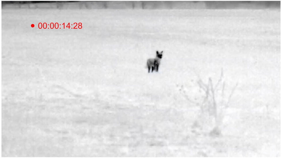 ATN OTS 4T, 2-8x, 384x288, Thermal Viewer w/ Full HD Video rec, WiFi, Smooth zoom, iOS/Android Controlling App, Black, TIMNO4382A