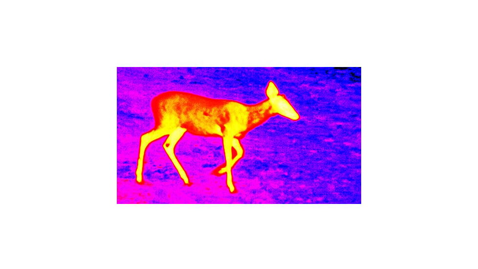 ATN OTS 4T, 4-40x, 640x480, Thermal Viewer w/ Full HD Video rec, WiFi, Smooth zoom, iOS/Android Controlling App, Black, TIMNO4644A