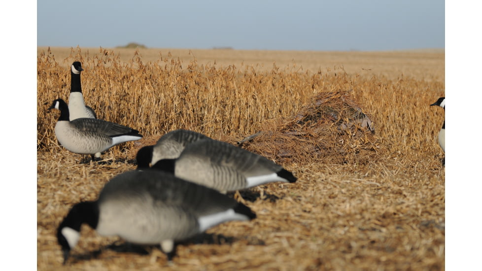 Avery Outdoors KillerWeed,Faded Grass 47408