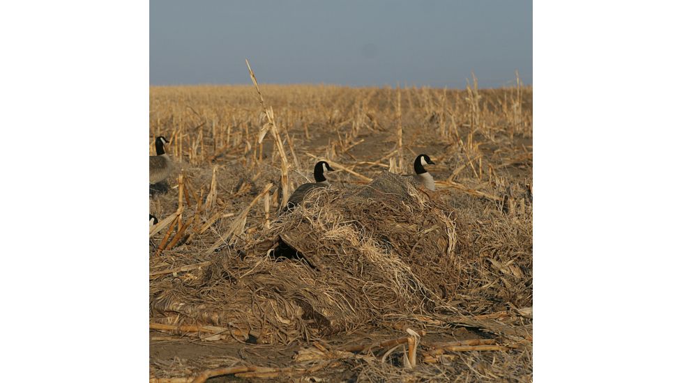 Avery Outdoors KillerWeed Layout Blind Kit,All Terrain 47303