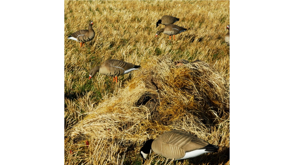 Avery Outdoors KillerWeed Layout Blind Kit,Golden Harvest 47305