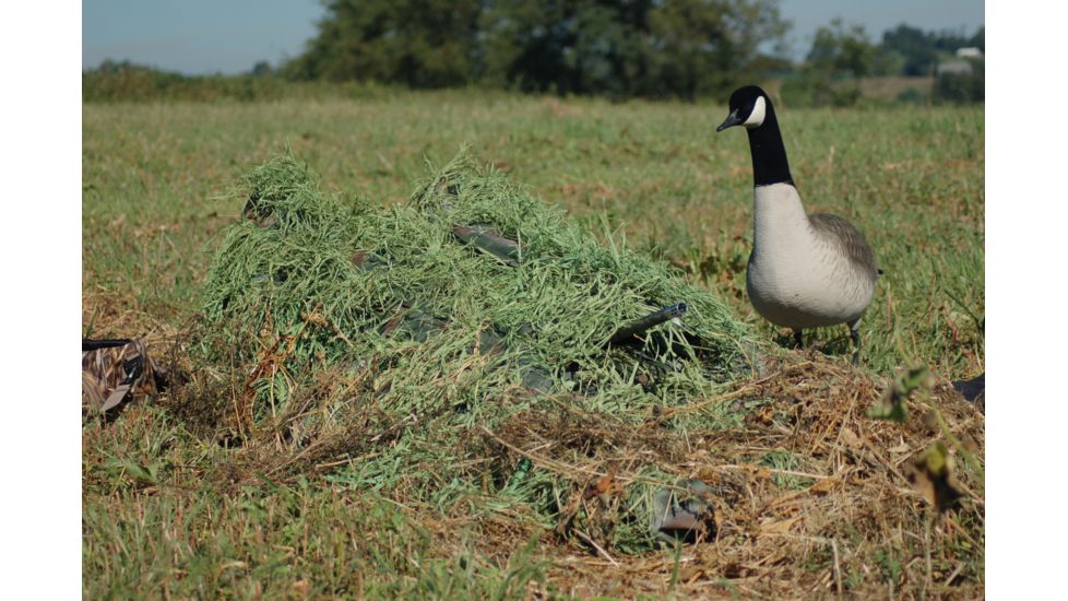 Avery Outdoors KillerWeed Layout Blind Kit,Winter Wheat 47304