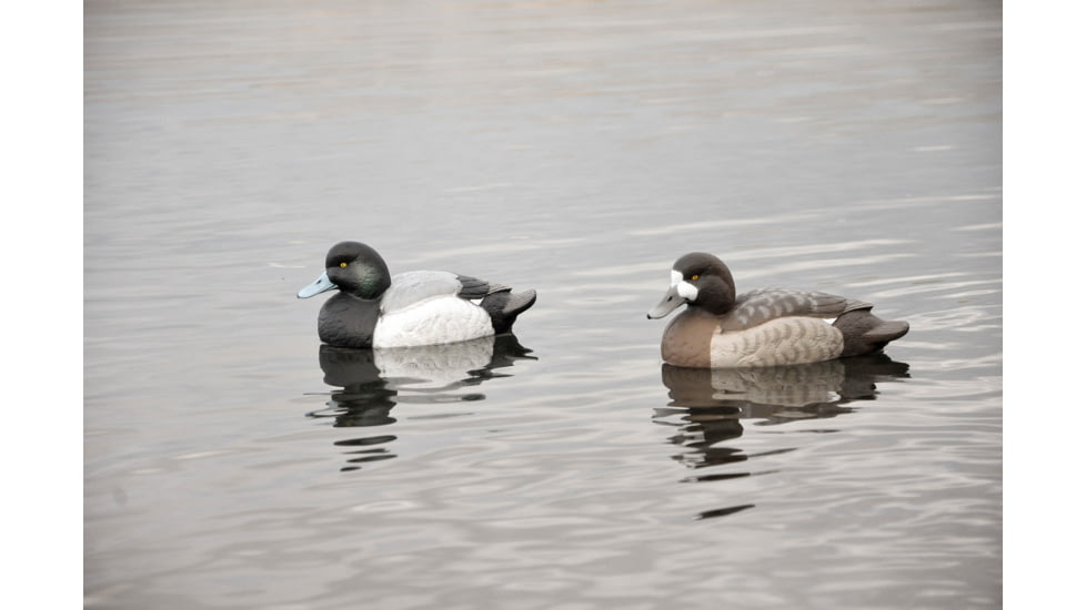 Avery Outdoors PG Blue-Bills-Lesser Scaup, 1/2 dozen, 77138