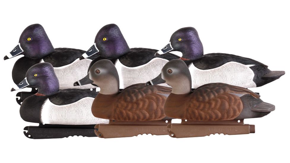 Avery Outdoors PG Ring-Necked Ducks, 1/2 dozen, Realistic Postures, 77133