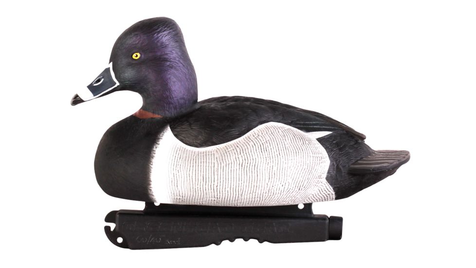 Avery Outdoors PG Ring-Necked Ducks, 1/2 dozen, Realistic Postures, 77133