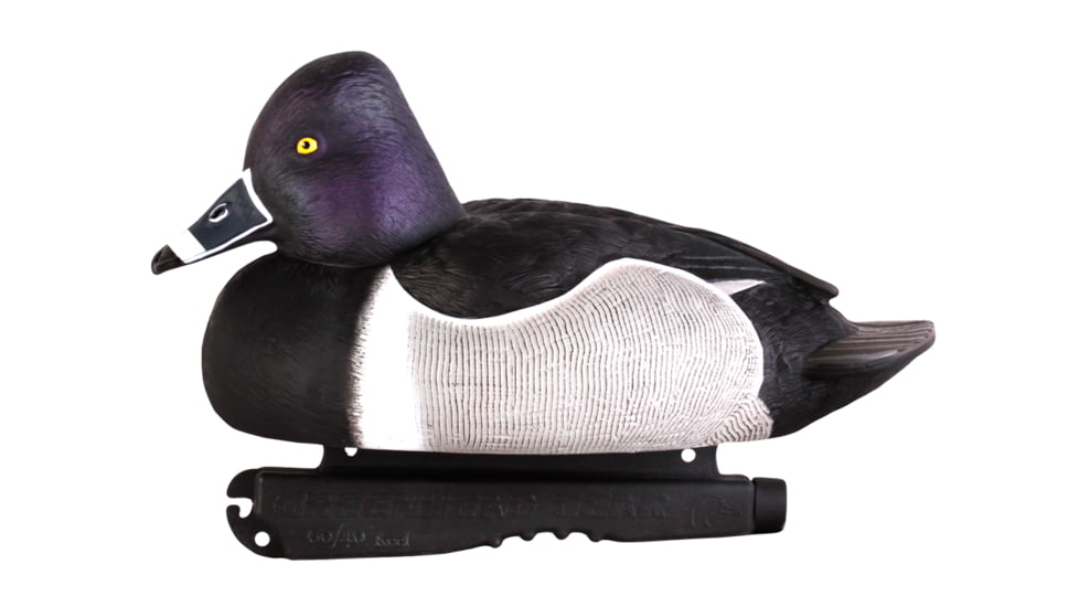 Avery Outdoors PG Ring-Necked Ducks, 1/2 dozen, Realistic Postures, 77133