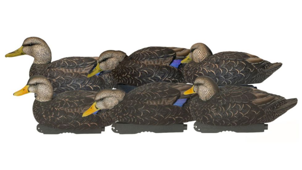 Avery Outdoors PG XD Series Black Ducks-Harvester Pack, 1/2 dozen, Realistic Postures, 76106