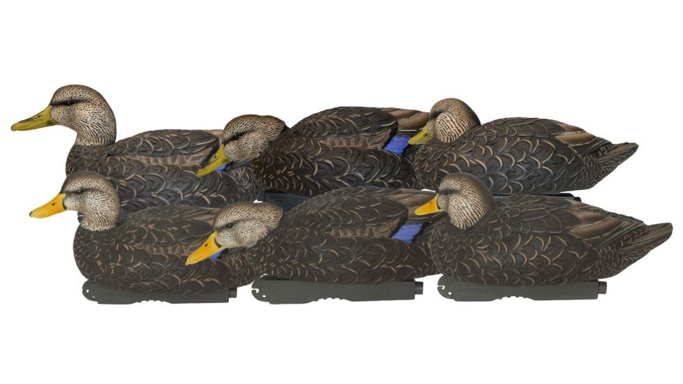 Avery Outdoors PG XD Series Black Ducks-Harvester Pack, 1/2 dozen, Realistic Postures, 76106