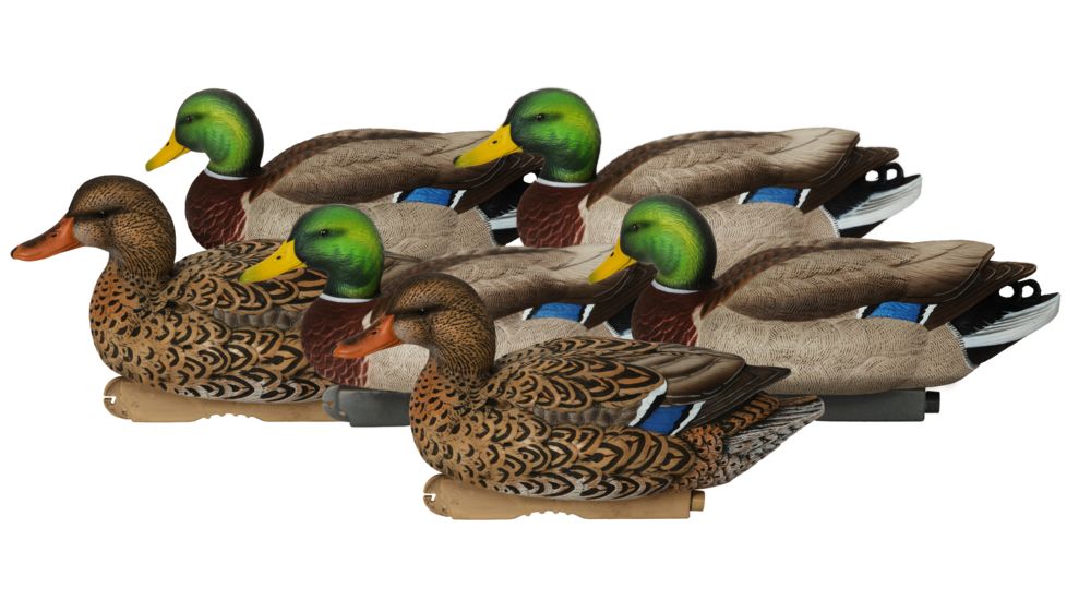 Avery Outdoors PG XD Series Mallards-Active Pack, 1/2 dozen, 76105