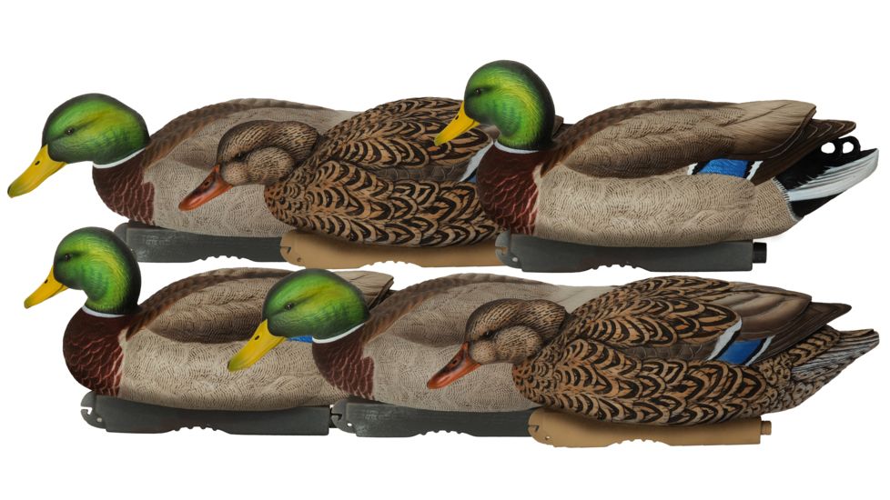 Avery Outdoors PG XD Series Mallards-Feeder Pack, 1/2 dozen, 76107