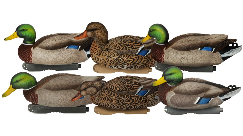 Avery Outdoors PG XD Series Mallards-Harvester Pack, 1/2 dozen, 76118