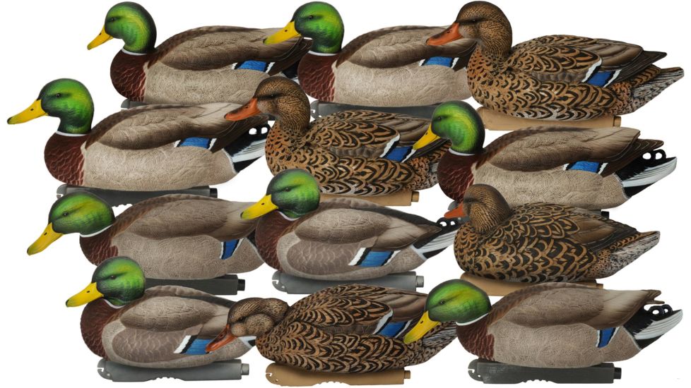 Avery Outdoors PG XD Series Mallards-Harvester Pack, dozen, 76117