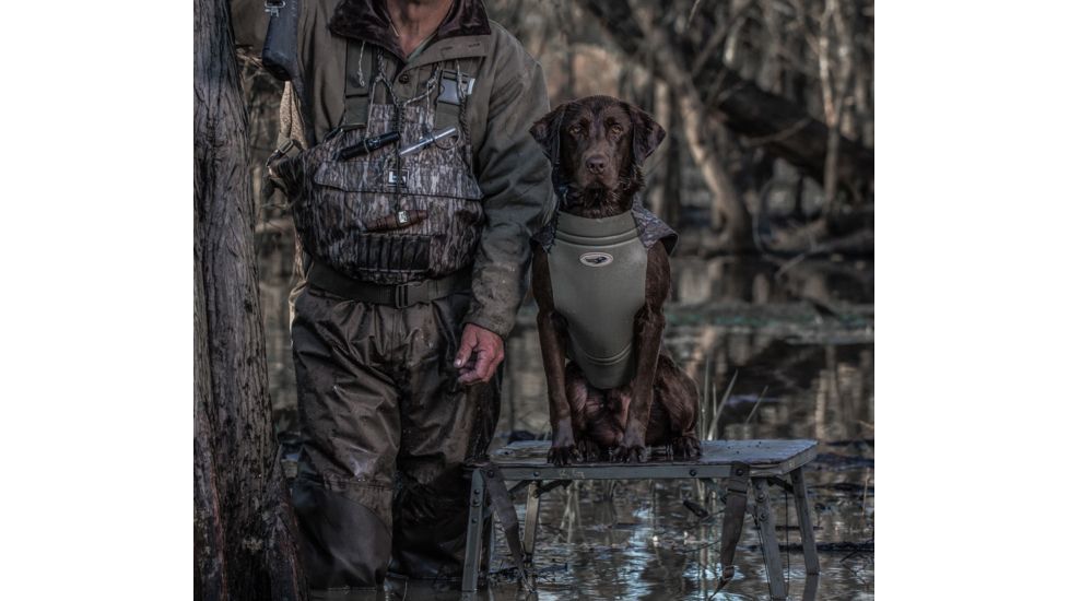 Avery Sporting Dog Ruff Stand Dog Accessory, BTML 90014