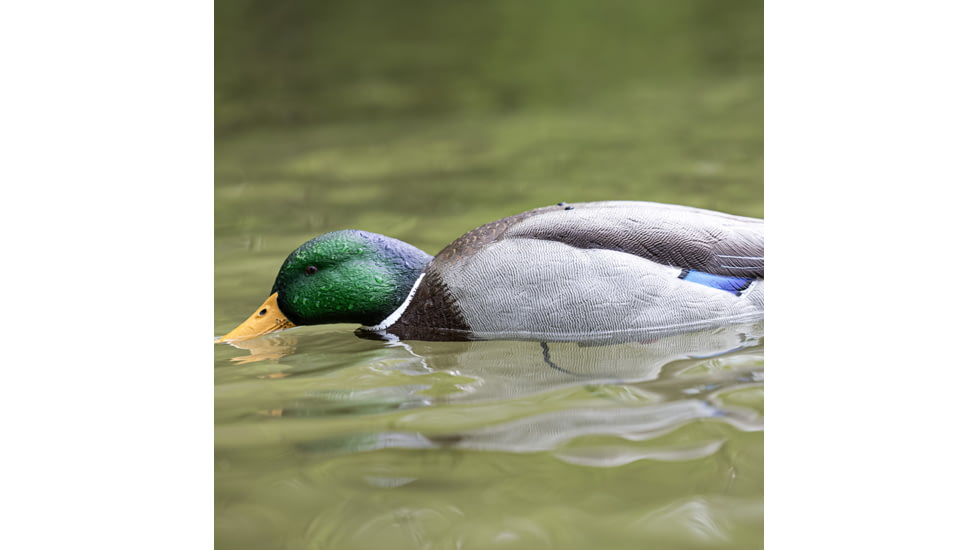 Avian X Tip Up Mallard Feeder