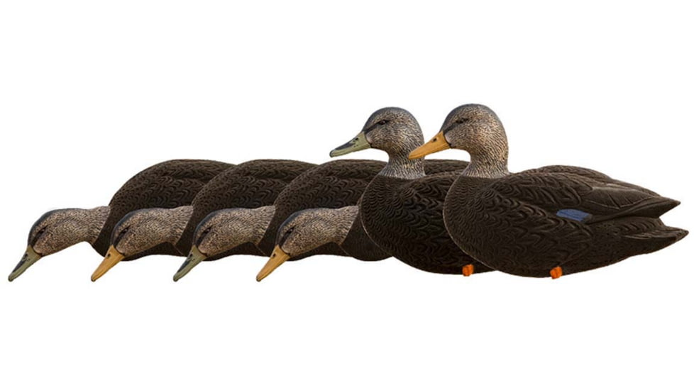 Avian X Fusion Pack AXF Ducks Decoy, Black, AVX-AVX8077