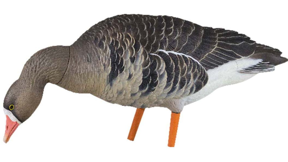Avian X Fusion Pack AXP Specklebelly Decoy, AVX-AVX9014
