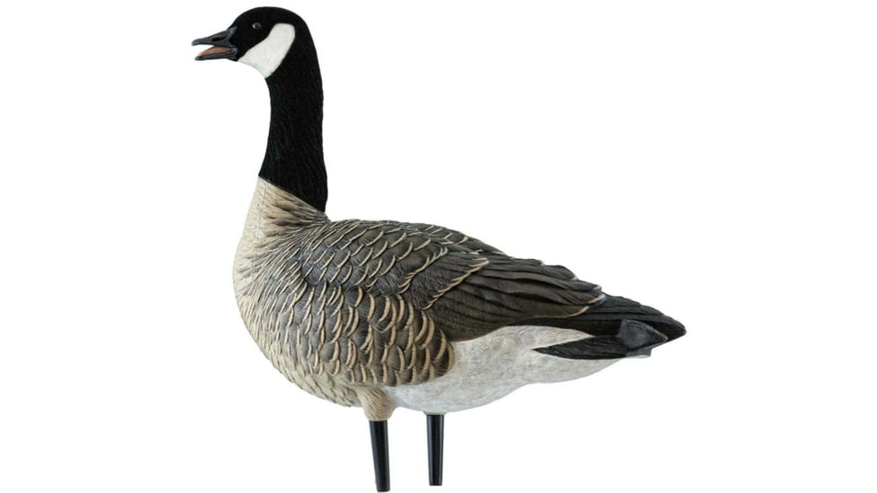 Avian X Outfitter Pack AXF Lessers Decoy, AVX-AVX9033