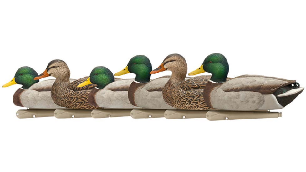 Avian X Top Flight Duck Decoy, Open Water Mallard 6 pk., 8060, AVX-AVX8060