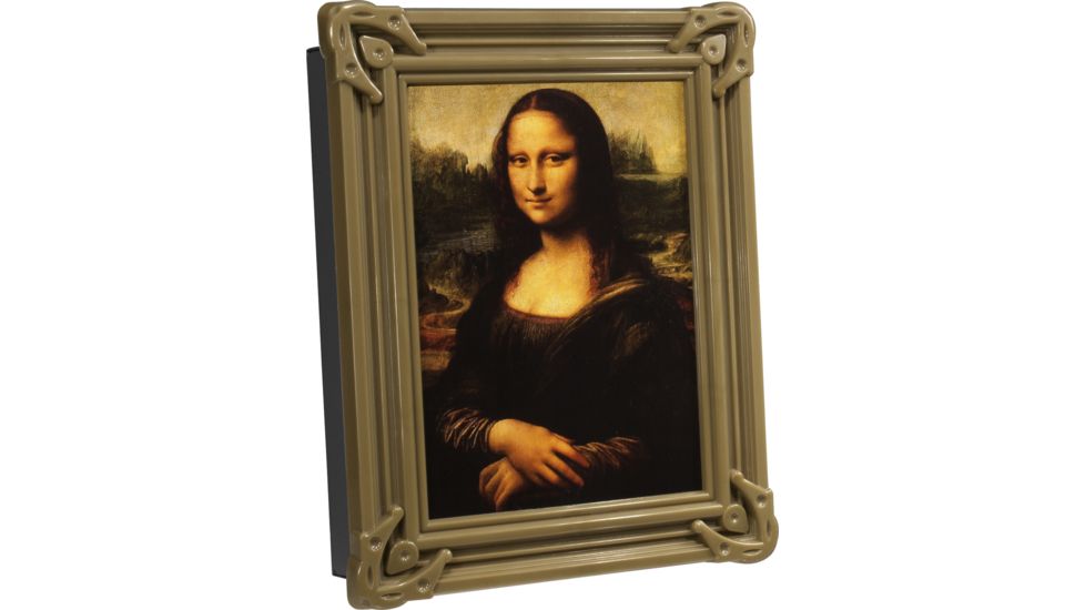 Barska Wall Mount Picture Frame Safe w/ Key Lock CB11800