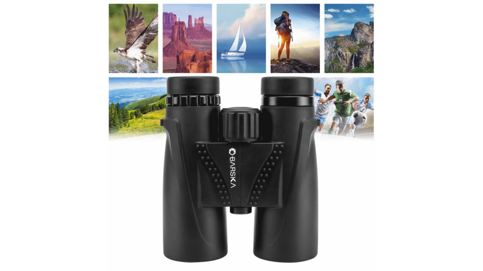 Barska WP Blackhawk 10x42mm BAK-4 Prism Binocular, Black, Small, AB13434