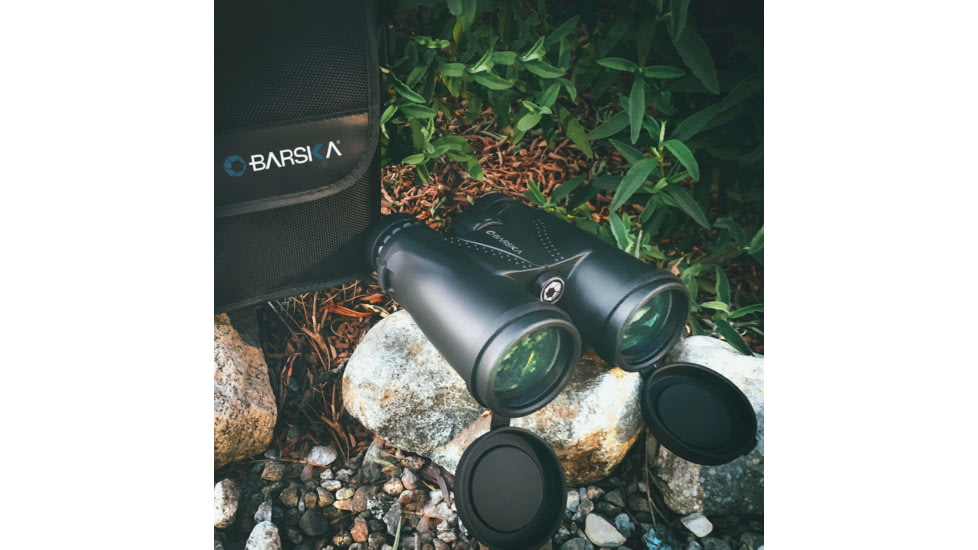 Barska WP Blackhawk 10x42mm BAK-4 Prism Binocular, Black, Small, AB13434