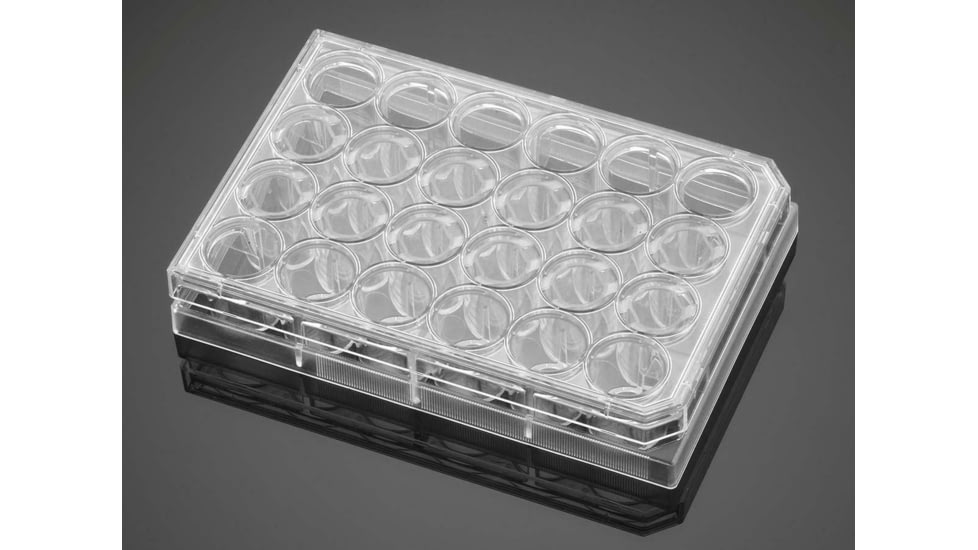 BD 0.45UG CELL-C 24WELL Plts CS24 354572
