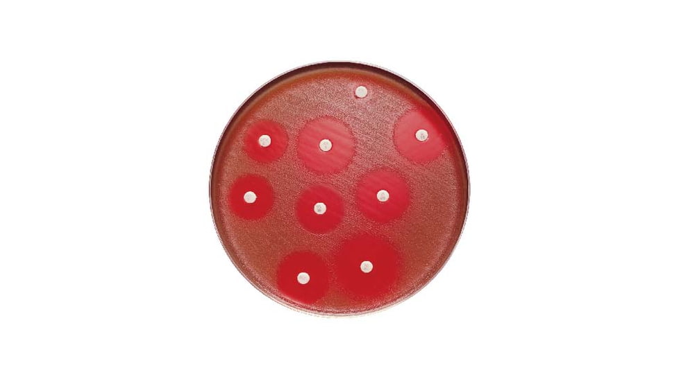 BD Antibiotics and AntimycoticsNorfloxacin to Vancomycin, BD Diagnostics 231601 Trimethoprim, 5 ug