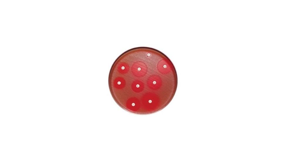 BD BBL Sensi-Disc Antimicrobial Susceptibility Test Discs, BD Diagnostic Systems 231696 Cefepime
