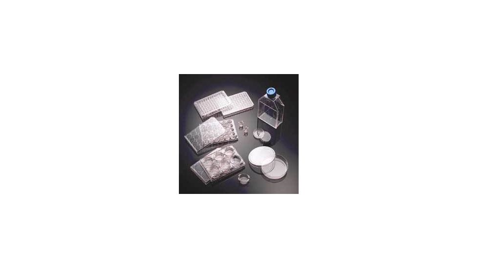 BD BioCoat Cellware, Collagen Type IV, BD Biosciences 354534 Culture Flasks T-25 (25 cm2)