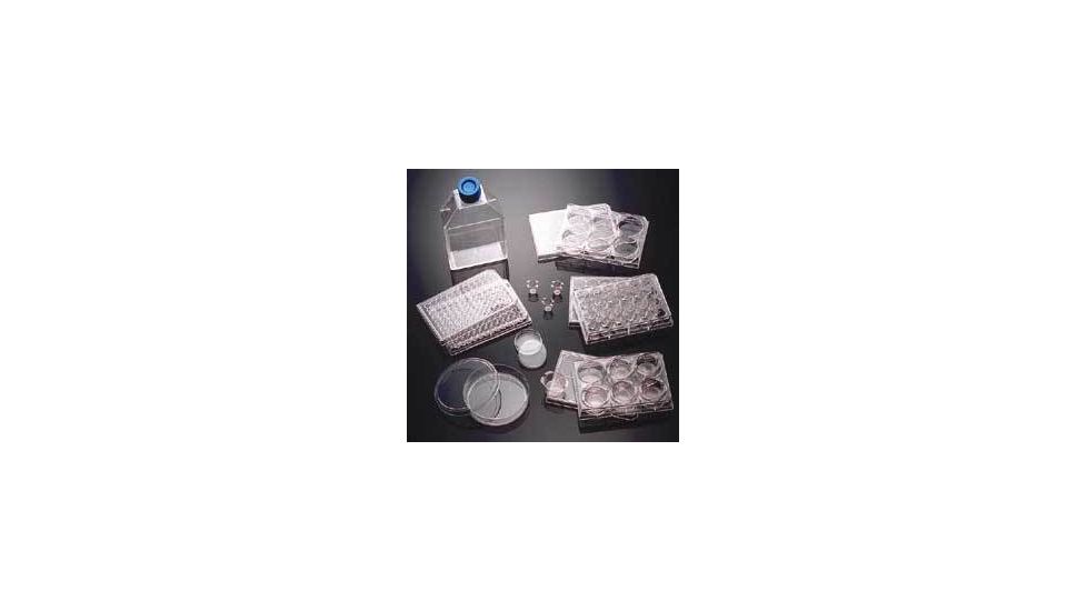 BD BioCoat Cellware, Laminin, BD Biosciences 354533 Culture Flasks T-25 (25 cm2)