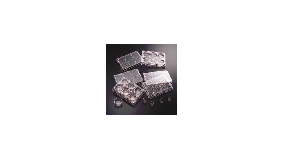 BD BioCoat Variety Pack Inserts and Multiwell Plates, BD Biosciences 354431 Multiwell Plates