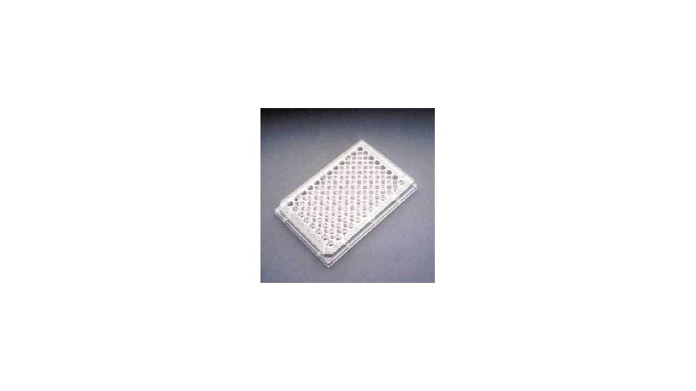 BD Falcon 96-Well Assay Plates, BD Biosciences 353910 Nonsterile