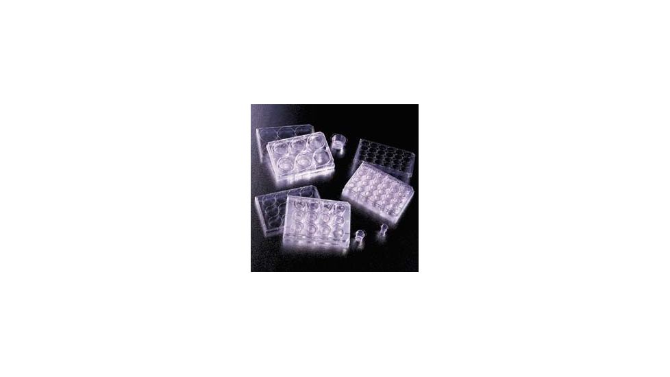 BD Falcon Cell Culture Inserts, Sterile, BD Biosciences 353095 Transparent Inserts