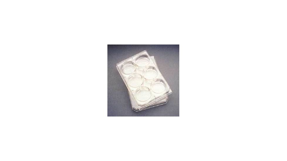 BD Falcon Multiwell Flat-Bottom Plates with Lids, Sterile, BD Biosciences 353046