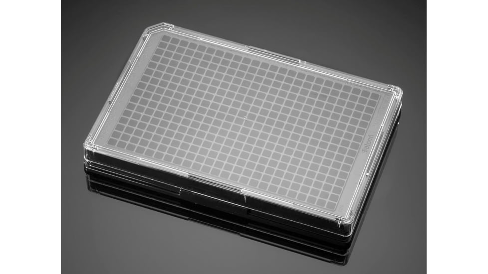 BD Plate Pdl 384W BLK/CLR PK5 354663