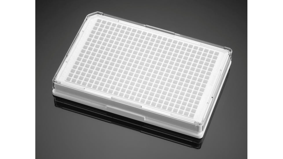 BD Plate Pdl 384W WHT/CLR CS50 356660