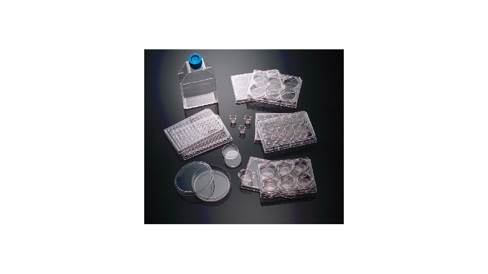 BD Plate Polyd Lys Laminin 6W CS5 354595